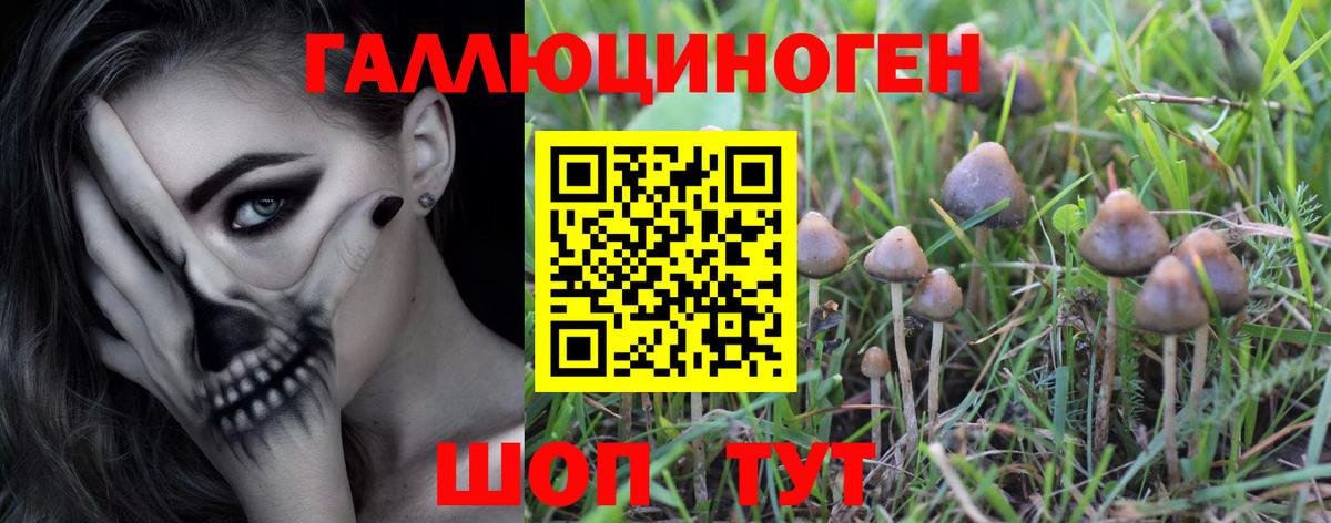Псилоцибиновые грибы мухоморы Новоалександровск