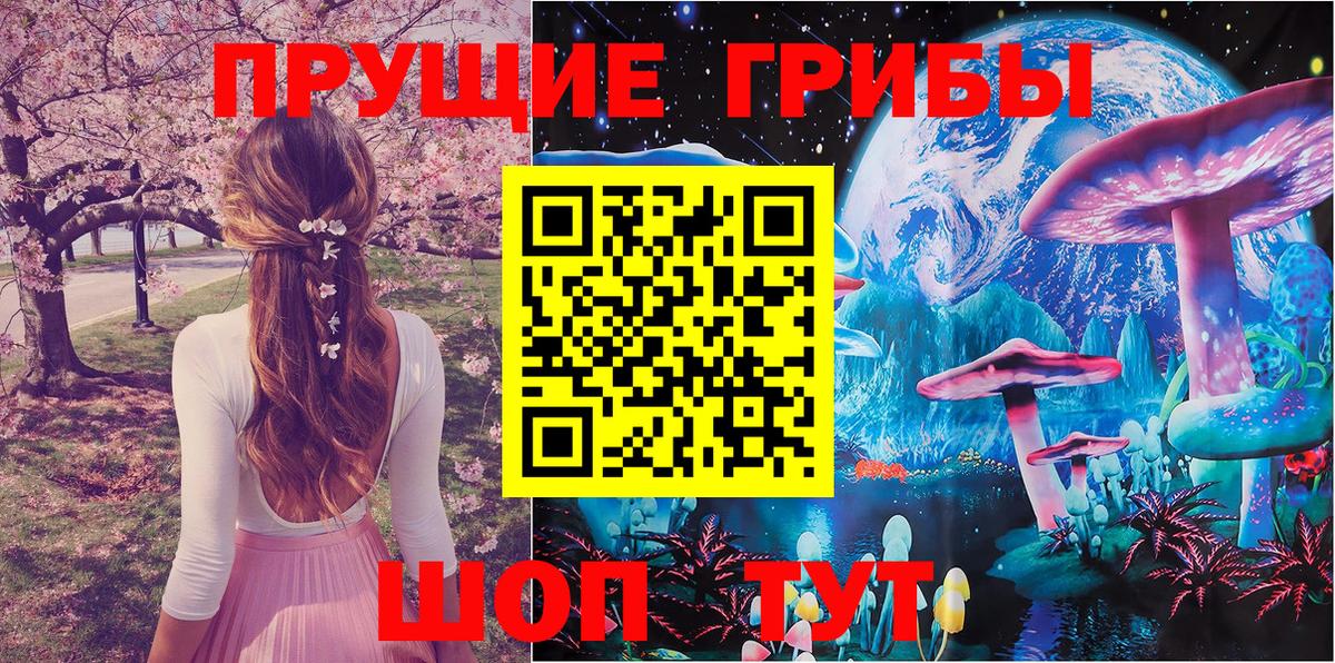 Новоалександровск  купить наркоту  Вход с VPN  Галлюциногенные грибы ЛСД 